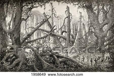 Sir Henry Morton Stanley And His Men Crossing A Hazardous Forest Clearing During His Emin Pasha Relief Expedition In Africa, 1886 To 1889. From In Darkest Africa By Henry M. Stanley Published 1890. View Large Photo Image Stock Photo - Sir Henry Morton Stanley And His Men Crossing A Hazardous Forest Clearing During His Emin Pasha Relief Expedition In Africa, 1886 To 1889. From In Darkest Africa By Henry M. Stanley Published 1890.. Fotosearch