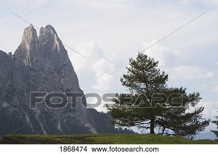 Picture - Siusi Allo Sciliar, Alto Adige, Italy. Fotosearch