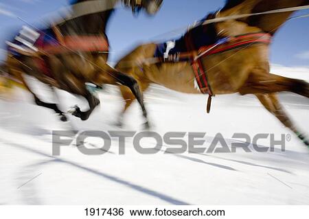 Ski Joring Race View Large Photo Image Stock Photograph - Ski Joring Race. Fotosearch