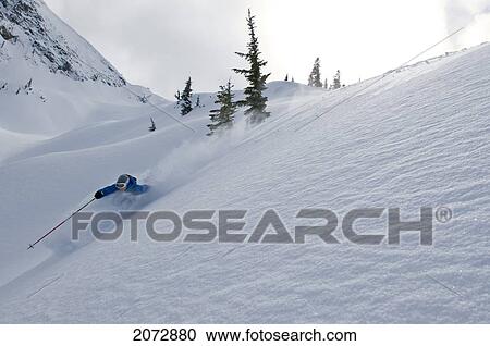 Skier Shredding Powder Below Nak Peak, Thar Basin, Cascade Mountains, British Columbia View Large Photo Image Stock Image - Skier Shredding Powder Below Nak Peak, Thar Basin, Cascade Mountains, British Columbia. Fotosearch
