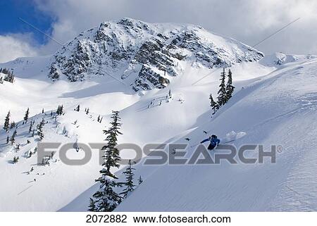 Skier Shredding Powder Below Nak Peak, Thar Basin, Cascade Mountains, British Columbia View Large Photo Image Stock Image - Skier Shredding Powder Below Nak Peak, Thar Basin, Cascade Mountains, British Columbia. Fotosearch