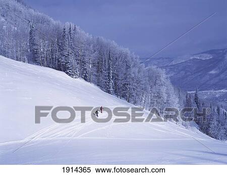 Stock Photography - Skiiers And Snow Covered Pine Trees. Fotosearch