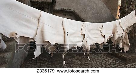 Skins On A Line To Dry At A Leather Tannery; Morocco View Large Photo Image Stock Photo - Skins On A Line To Dry At A Leather Tannery; Morocco. Fotosearch