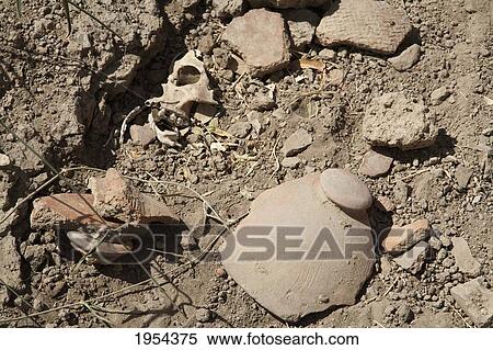Stock Photography - Skull and funerary urn remains at the Djenne-Djeno archaeological site, Mali. Fotosearch