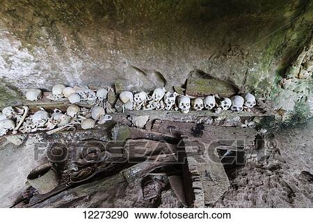 Stock Image - Skulls and wooden coffins in a burial cave, Tampangallo, Toraja Land, South Sulawesi, Indonesia. Fotosearch