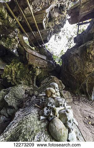 Skulls and wooden coffins in a burial cave, Tampangallo, Toraja Land, South Sulawesi, Indonesia View Large Photo Image Stock Photo - Skulls and wooden coffins in a burial cave, Tampangallo, Toraja Land, South Sulawesi, Indonesia. Fotosearch