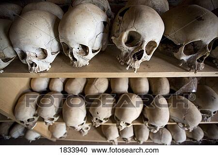 Skulls From Ntarama Genocide Lined Up On Shelf In Church Ntarama Rwanda Stock Image 1833940 Fotosearch