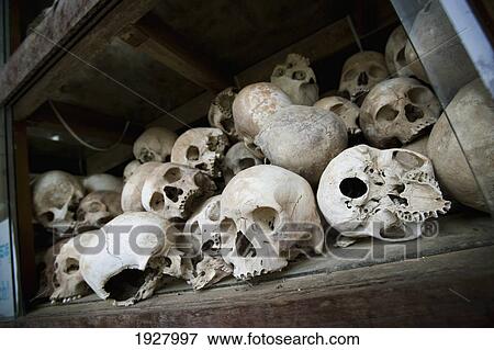 Skulls Inside Memorial Stupa At Killing Fields, Choeung Ek, Cambodia View Large Photo Image Stock Photo - Skulls Inside Memorial Stupa At Killing Fields, Choeung Ek, Cambodia. Fotosearch