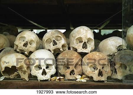 Stock Image - Skulls Of Victims Of Khmer Rouge. Fotosearch