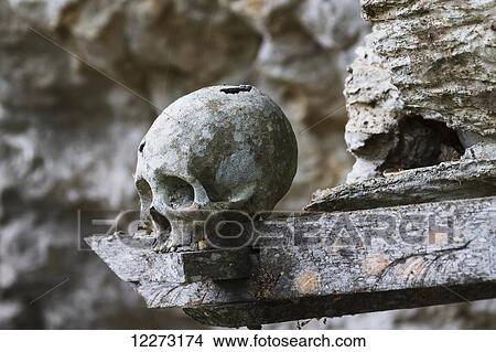 Picture - Skulls on a wooden coffin, Kete Kesu, Toraja Land, South Sulawesi, Indonesia. Fotosearch