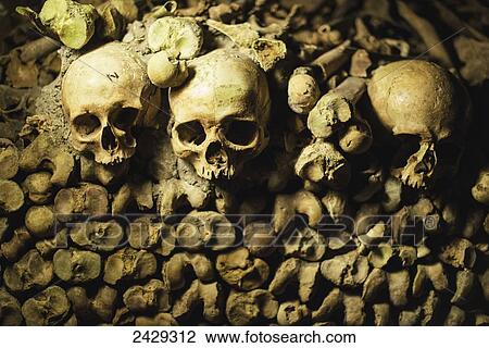 Stock Image - Skulls peer out from a pile of bones at the entrance to the Catacombs; Paris, France. Fotosearch