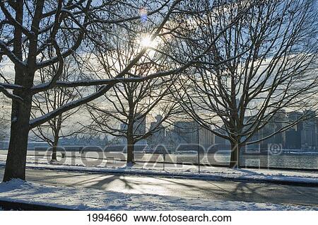 Stock Image - Skyline As Seen From Stanley Park In Winter, Vancouver, British Columbia, Canada. Fotosearch