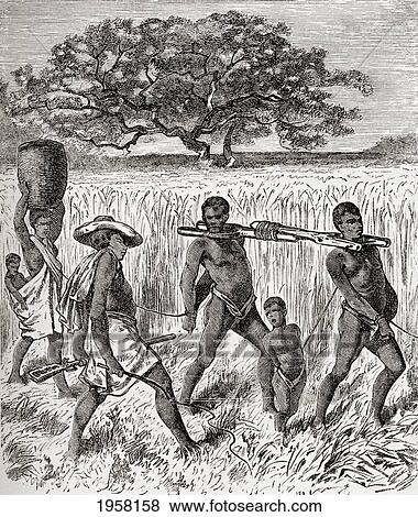 Slave Driving In Africa In The 19Th Century. From Africa By Keith Johnston, Published 1884. View Large Photo Image Stock Photo - Slave Driving In Africa In The 19Th Century. From Africa By Keith Johnston, Published 1884.. Fotosearch