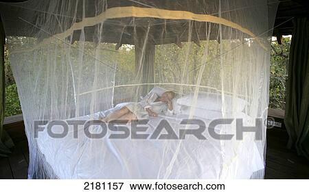 Sleeping on a bed under a mosquito net, Baghvan Wilderness Lodge, Pench National Park; Madhya Pradesh, India View Large Photo Image Stock Photo - Sleeping on a bed under a mosquito net, Baghvan Wilderness Lodge, Pench National Park; Madhya Pradesh, India. Fotosearch