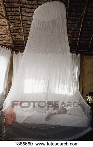 Sleeping Under Netting, Manda Bay Resort, Lamu Archipelago, Kenya, Africa View Large Photo Image Stock Image - Sleeping Under Netting, Manda Bay Resort, Lamu Archipelago, Kenya, Africa. Fotosearch