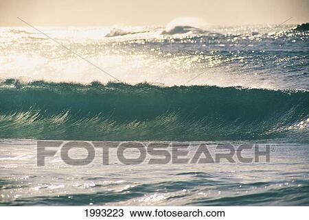 Stock Image - Slick Wave Front View About To Curl, Silver Calm Ocean Foreground, Shimmery Background.. Fotosearch
