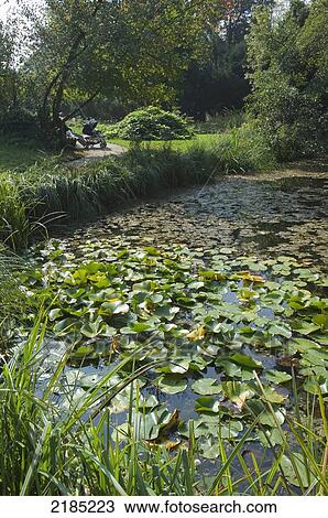Slovenia, Botanic Garden; Ljubljana View Large Photo Image Stock Image - Slovenia, Botanic Garden; Ljubljana. Fotosearch