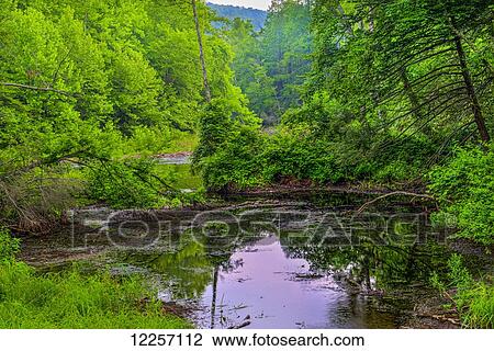 Small lake near the Delaware River; Bushkill, Pennsylvania, United States of America View Large Photo Image Stock Image - Small lake near the Delaware River; Bushkill, Pennsylvania, United States of America. Fotosearch