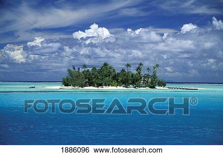 Small Palm Tree Covered Tropical Island View Large Photo Image Stock Photograph - Small Palm Tree Covered Tropical Island. Fotosearch
