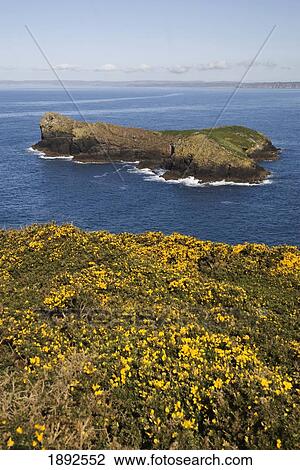 Small Rocky Island View Large Photo Image Stock Image - Small Rocky Island. Fotosearch