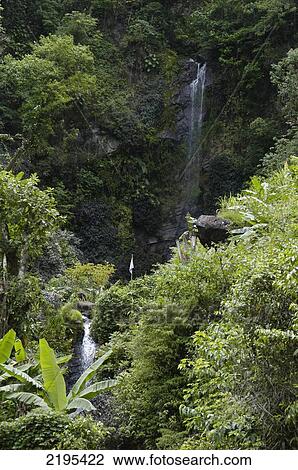 Small Waterfall In The Blue Mountains, Jamaica. View Large Photo Image Stock Image - Small Waterfall In The Blue Mountains, Jamaica.. Fotosearch
