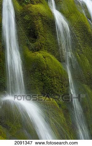 Stock Photo - Small Waterfall Over Mossy Stones In Gleann Enich Near Aviemore, Highlands, Scotland, Uk. Fotosearch