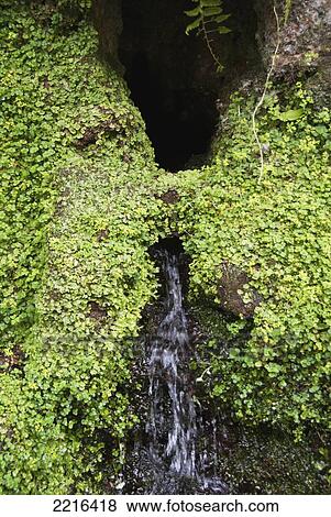 Stock Photo - Small Waterfall With Moss Near Lynmouth, Exmoor, United Kingdom. Fotosearch