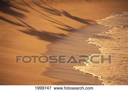 Small Wave Washing Onto Shoreline, Palm Trees Reflecting On Sand C1718 View Large Photo Image Stock Photo - Small Wave Washing Onto Shoreline, Palm Trees Reflecting On Sand C1718. Fotosearch