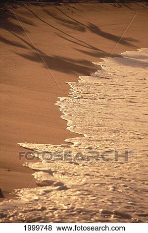 Stock Photo - Small Wave Washing Onto Shoreline, Palm Trees Reflecting On Sand C1730. Fotosearch