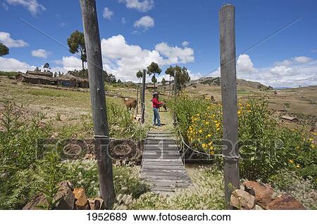 Small wooden bridge, Jatun Yampara Indigenous Community, Chuquisaca Department, Bolivia View Large Photo Image Stock Photo - Small wooden bridge, Jatun Yampara Indigenous Community, Chuquisaca Department, Bolivia. Fotosearch