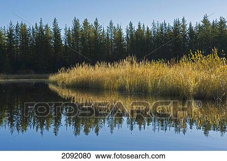 Stock Image - Smallfish Lake In Porcupine Hills; Saskatchewan Canada. Fotosearch