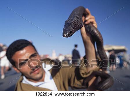 Picture - Snake Charmer Holding Snake. Fotosearch