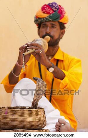 Snake Charming; Jaipur Rajasthan India View Large Photo Image Picture - Snake Charming; Jaipur Rajasthan India. Fotosearch