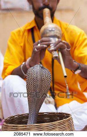 Stock Image - Snake Charming With An Indian Cobra; Jaipur Rajasthan India. Fotosearch