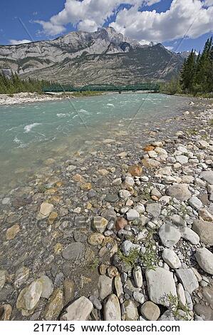 Snaring River; Alberta Canada View Large Photo Image Stock Photography - Snaring River; Alberta Canada. Fotosearch