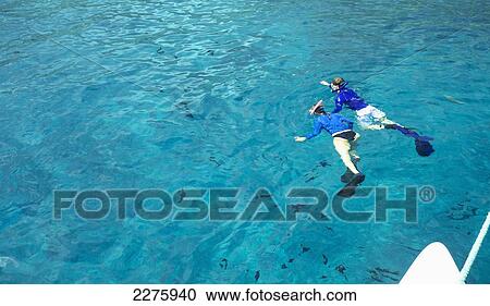 Snorkelling in the pacific ocean; Hawaii, United States of America View Large Photo Image Stock Image - Snorkelling in the pacific ocean; Hawaii, United States of America. Fotosearch