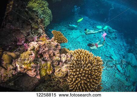 Stock Photography - Snorkelling off Niue Island; Niue. Fotosearch