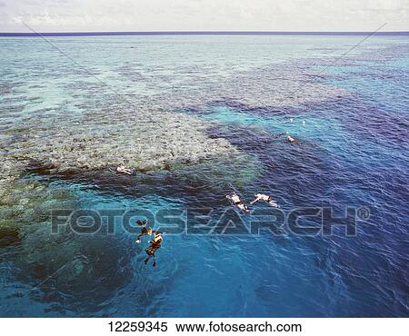 Stock Photography - Snorkelling on the Great Barrier Reef; Queensland, Australia. Fotosearch