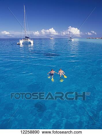 Snorkelling; Tahiti View Large Photo Image Stock Image - Snorkelling; Tahiti. Fotosearch