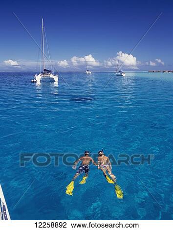 Snorkelling; Tahiti View Large Photo Image Stock Image - Snorkelling; Tahiti. Fotosearch