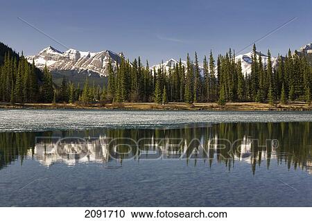 Snow Capped Mountain Range Reflecting In A Mountain Lake With Blue Sky; Alberta, Canada View Large Photo Image Stock Image - Snow Capped Mountain Range Reflecting In A Mountain Lake With Blue Sky; Alberta, Canada. Fotosearch