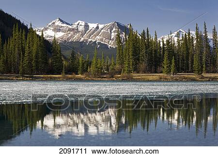 Snow Capped Mountain Range Reflecting In A Mountain Lake With Blue Sky; Alberta, Canada View Large Photo Image Stock Image - Snow Capped Mountain Range Reflecting In A Mountain Lake With Blue Sky; Alberta, Canada. Fotosearch