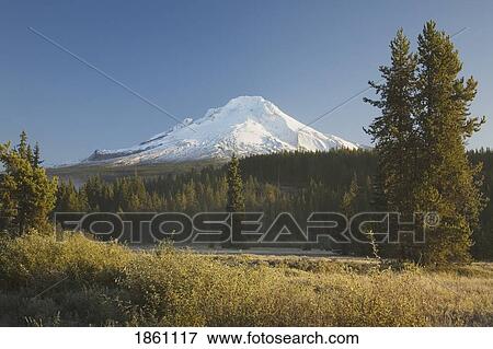 Snow-Capped Mountain Scenic View Large Photo Image Stock Photo - Snow-Capped Mountain Scenic. Fotosearch