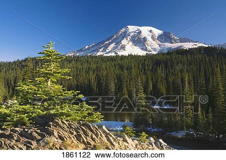 Snow-Capped Mountain; Washington, Usa View Large Photo Image Stock Image - Snow-Capped Mountain; Washington, Usa. Fotosearch