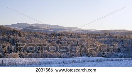Stock Photography - Snow Covered Field And Tree With Mountains In The Background; West Bolton Quebec Canada. Fotosearch