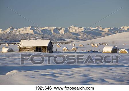 Snow Covered Log Cabin And Hay Bales In A Field With Snow Covered Mountains; Okotoks, Alberta, Canada View Large Photo Image Stock Photograph - Snow Covered Log Cabin And Hay Bales In A Field With Snow Covered Mountains; Okotoks, Alberta, Canada. Fotosearch