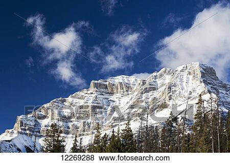 Snow covered mountain peak with evergreen trees with blue sky and clouds; Banff, Alberta, Canada View Large Photo Image Stock Photo - Snow covered mountain peak with evergreen trees with blue sky and clouds; Banff, Alberta, Canada. Fotosearch