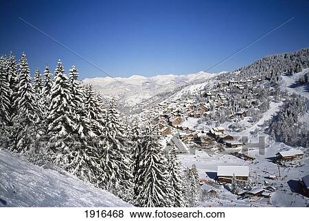 Snow Covered Pine Trees View Large Photo Image Stock Photo - Snow Covered Pine Trees. Fotosearch