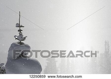 Snow covered tree in a snowfall; Wyoming, United States of America View Large Photo Image Stock Photo - Snow covered tree in a snowfall; Wyoming, United States of America. Fotosearch