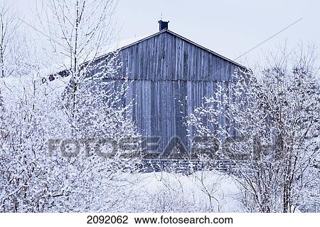 Stock Image - Snow-Covered Trees And Barn; Saint-Adrien-D'irlande Quebec Canada. Fotosearch